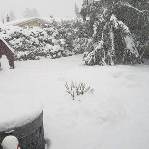 Meet your Posher, Lynn